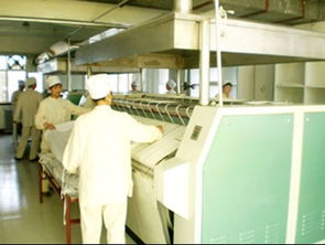 把握商機(jī)，承接優(yōu)質(zhì)資產(chǎn) 現(xiàn)成水洗廠整體與技術(shù)轉(zhuǎn)讓詳解